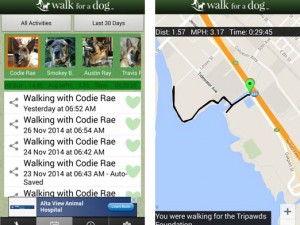 Walk Your Dog for the Tripawds Foundation Walk For A Dog to Support Tripawds!