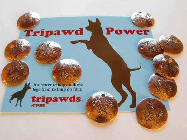 Tripawds Charms for Heroes Donor Level