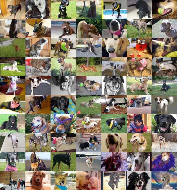 Tripawds Foundation donors as if Thanksgiving, 2015