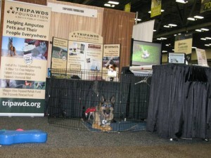 Tripawds Foundation Well Received at AAHA 2016 AAHA 2016 Tripawds Exhibit