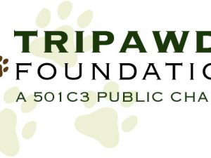 Foundation to Fall Short of Fundraising Goal Tripawds Foundation