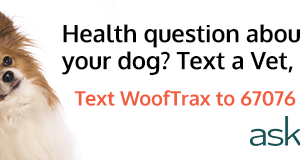 Got Questions? Text A Vet! Wooftrax Ask A Vet
