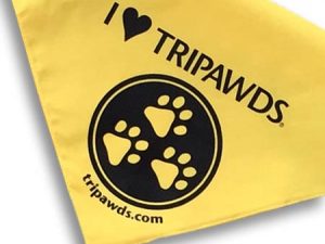 Tripawds Assistance Programs 0317_tribandana-yellow-2