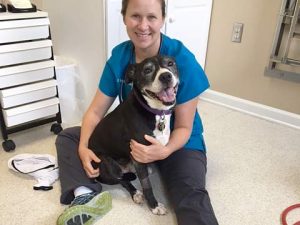 Free Rehab for Zato Helps Prevent Injury Rehab for Zatoichi