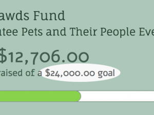 Tripawds Everywhere Need Your Help! mid-year progress