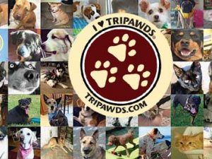 2018 Tripawds Fund Tripawds Donors