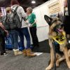 Team Tripawds Rocks Western Vet Conference WVC 2018 Tripawds Booth