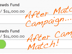 Tripawds Supporters Meet Their Match Campaign Results