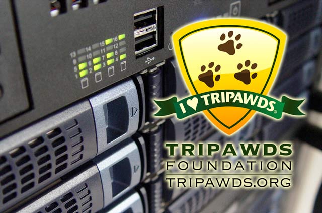 Support Tripawds