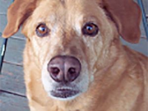 Remembering Baby Doll Mattie Mattie