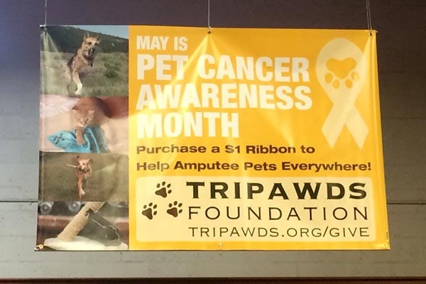 That Pet Place Supports Tripawds