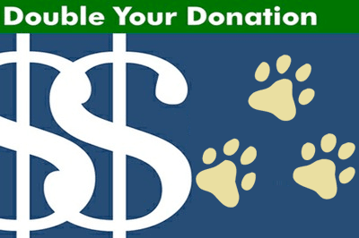 double your donations