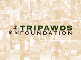 tripawds foundation