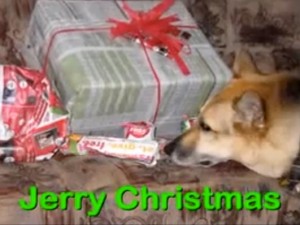 Jerry Christmas from the Tripawds Foundation Jerry Christmas