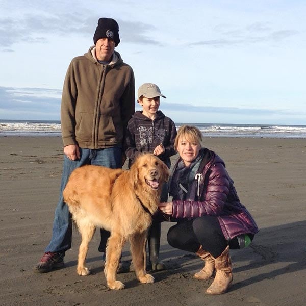 tripawd golden riley on the beach