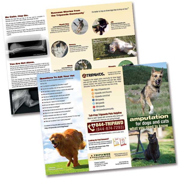 tripawds veterinary outreach brochure