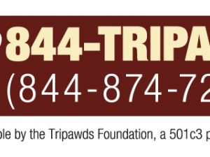 Tripawds Helpline Now Live, Thanks To Your Support! tripawds helpline number