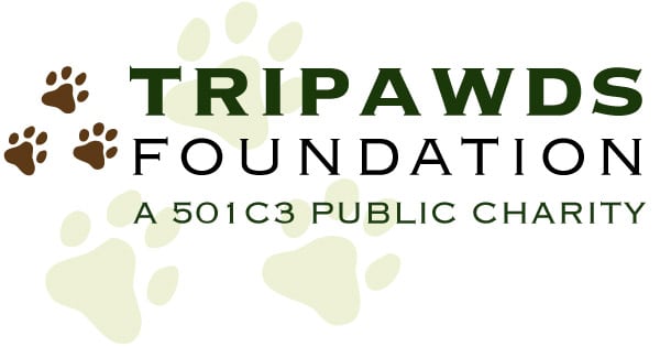 tripawds foundation