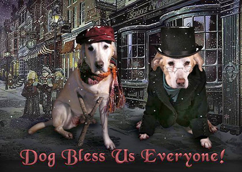 dog bless us everyone
