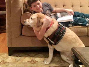 Homer’s Family Helps Tripawds Everywhere! Leo and Homer