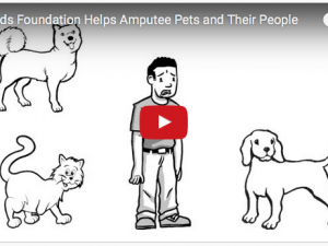 The Tripawds Mission, Explained in 30 Seconds tripawds video