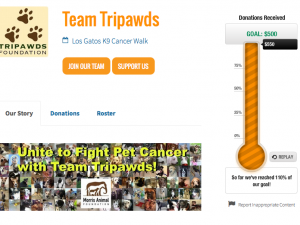 Team Tripawds Helps Morris Animal Foundation Morris Animal Foundation K9 Cancer Walk