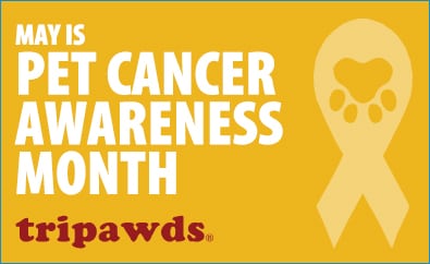 That Pet Place Pet Cancer Awareness Month