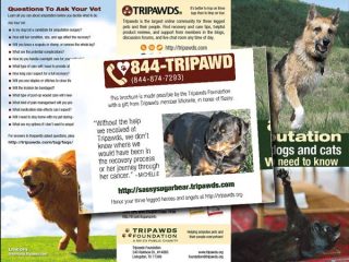 Tripawds Brochure for Sassy