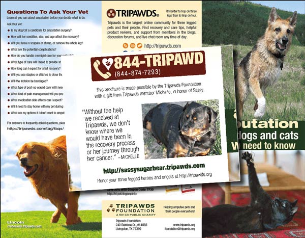 Tripawds Brochure for Sassy