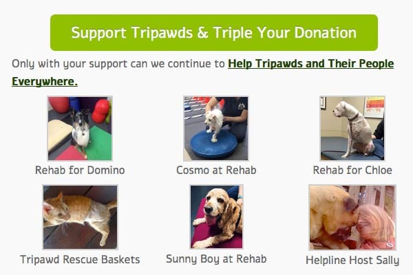 triple your tripawds support