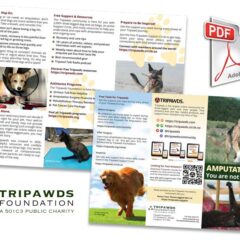 Tripawds Brochure