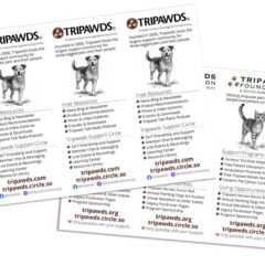 Free Rack Cards (PDF)