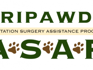 ASAP Grant to Help More Tripawds Everywhere! Tripawds ASAP Fund