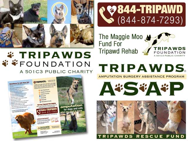 2017 Tripawds Fund