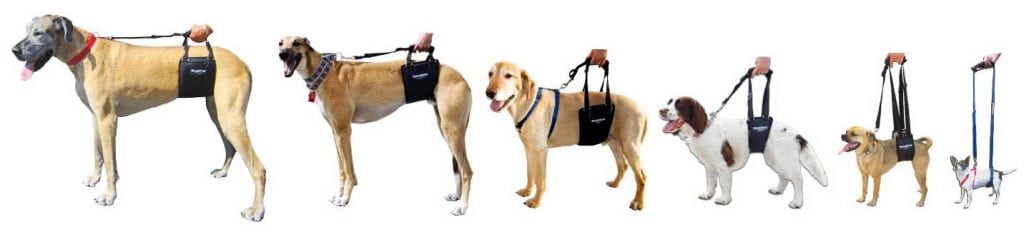 GingerLead Dog Sling