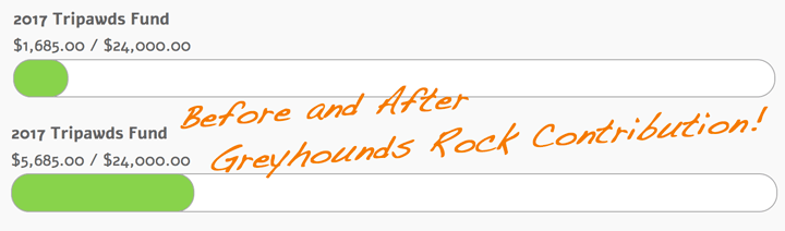 Greyhounds Rock Donation