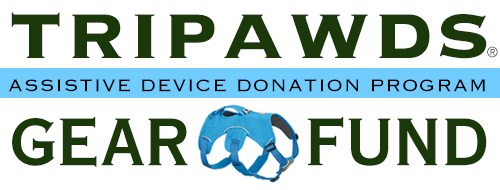 amputee pets help, dog, tripawd, harness