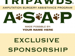 ASAP Expansion on Hold Pending Sponsorship sponsor asap