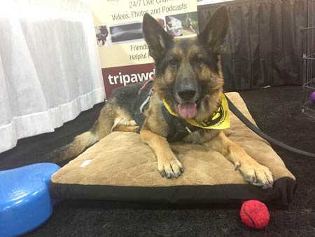 Wyatt in Tripawds Booth