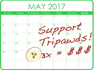 Triple Your Tripawds Support!