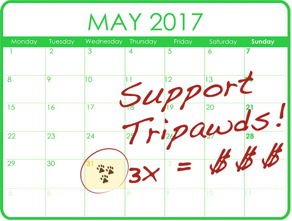 Triple Your Tripawds Support!