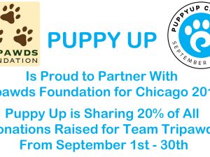 Puppy Up Partners with Tripawds in Chicago Puppy Up Chicago 2017