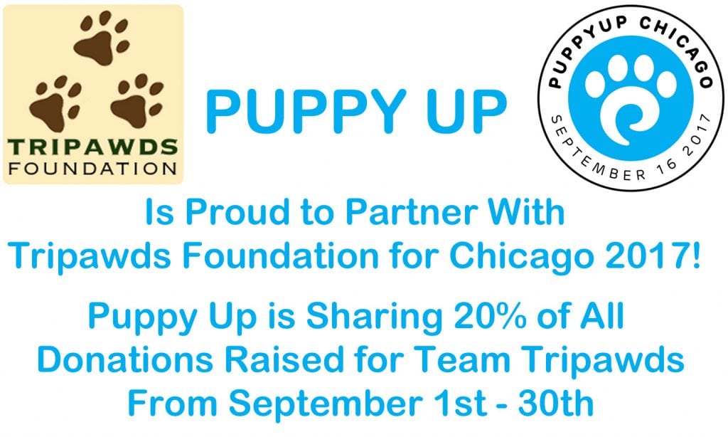 Puppy Up Chicago 2017