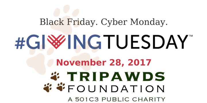 GivingTuesday 2017