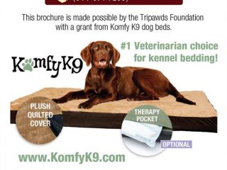 Komfy K9 Tripawds Brochure
