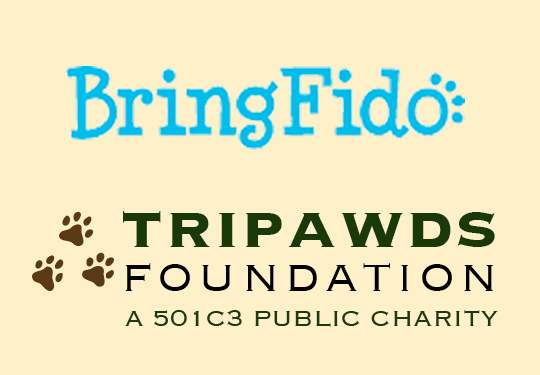 BringFido