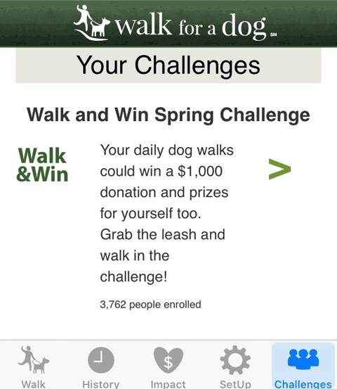 Walk and Win Challenge