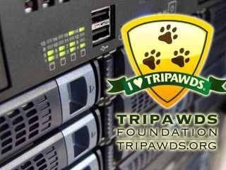 Support Tripawds