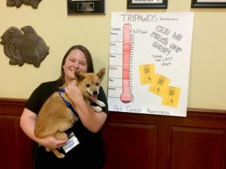 That Pet Place Exceeds Fundraising Goal