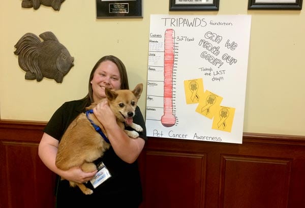 That Pet Place Exceeds Fundraising Goal